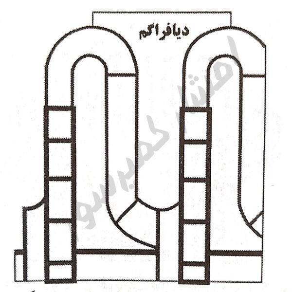 نمای شماتیکی از دیافراگم